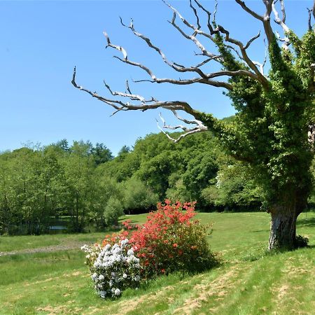 River Lodge - Cornwall Cardinham Exterior foto